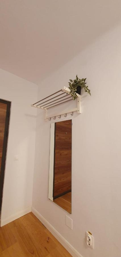 The Pines Serviced Apartments Braşov Exterior foto